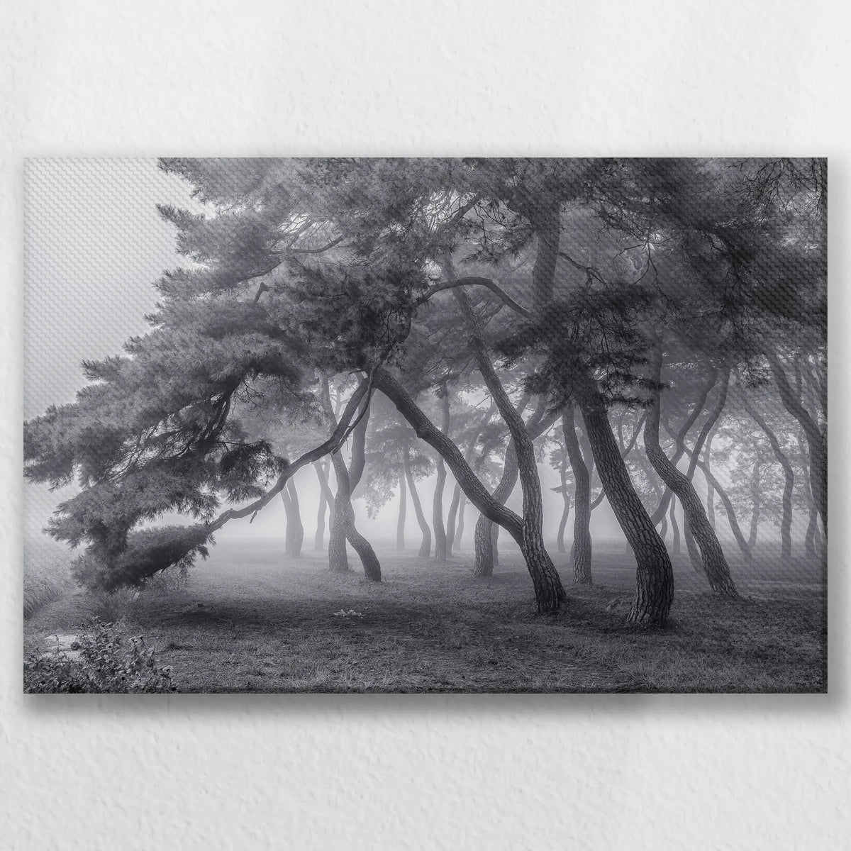 LW-045W030