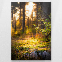 AC-040W060