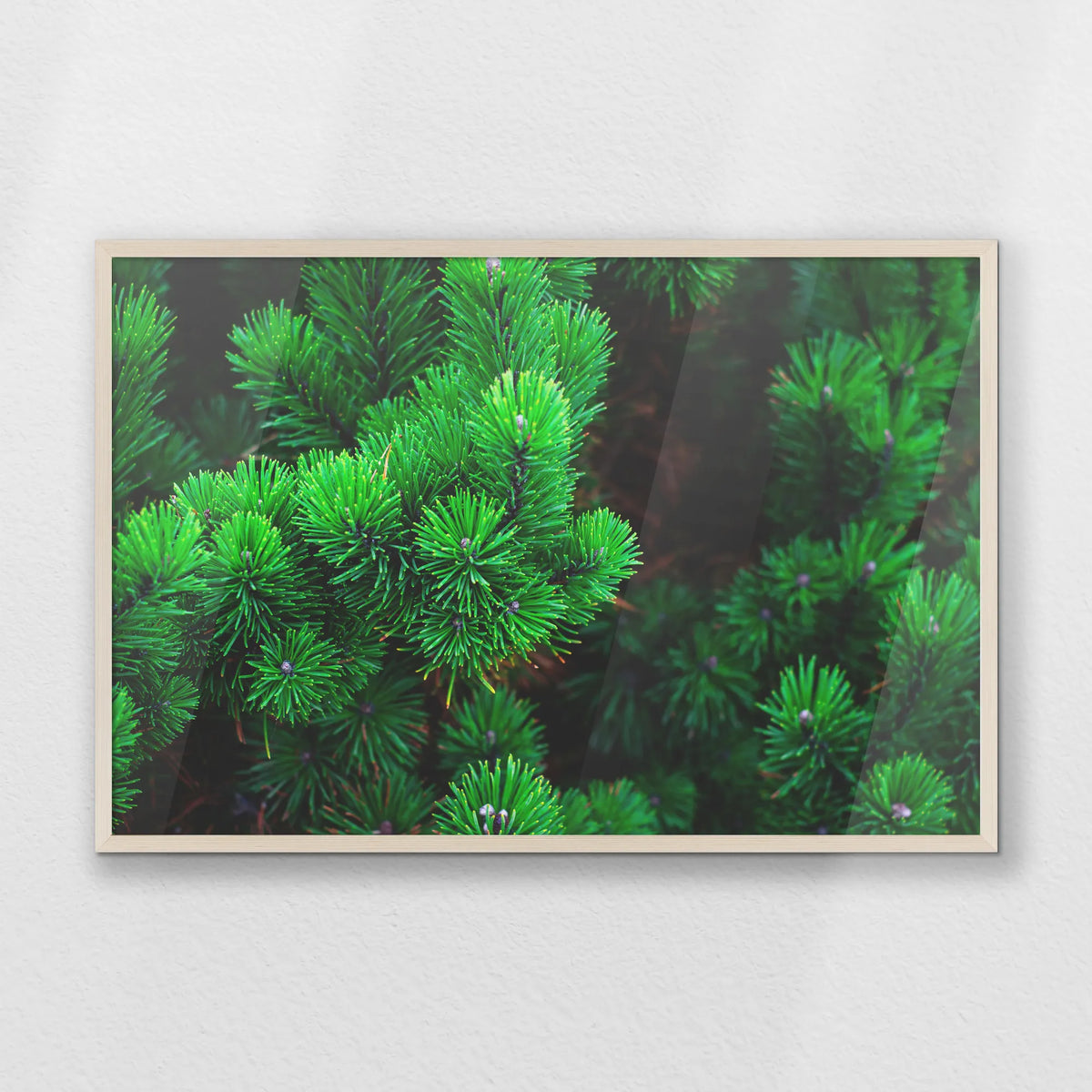 PN-093W062