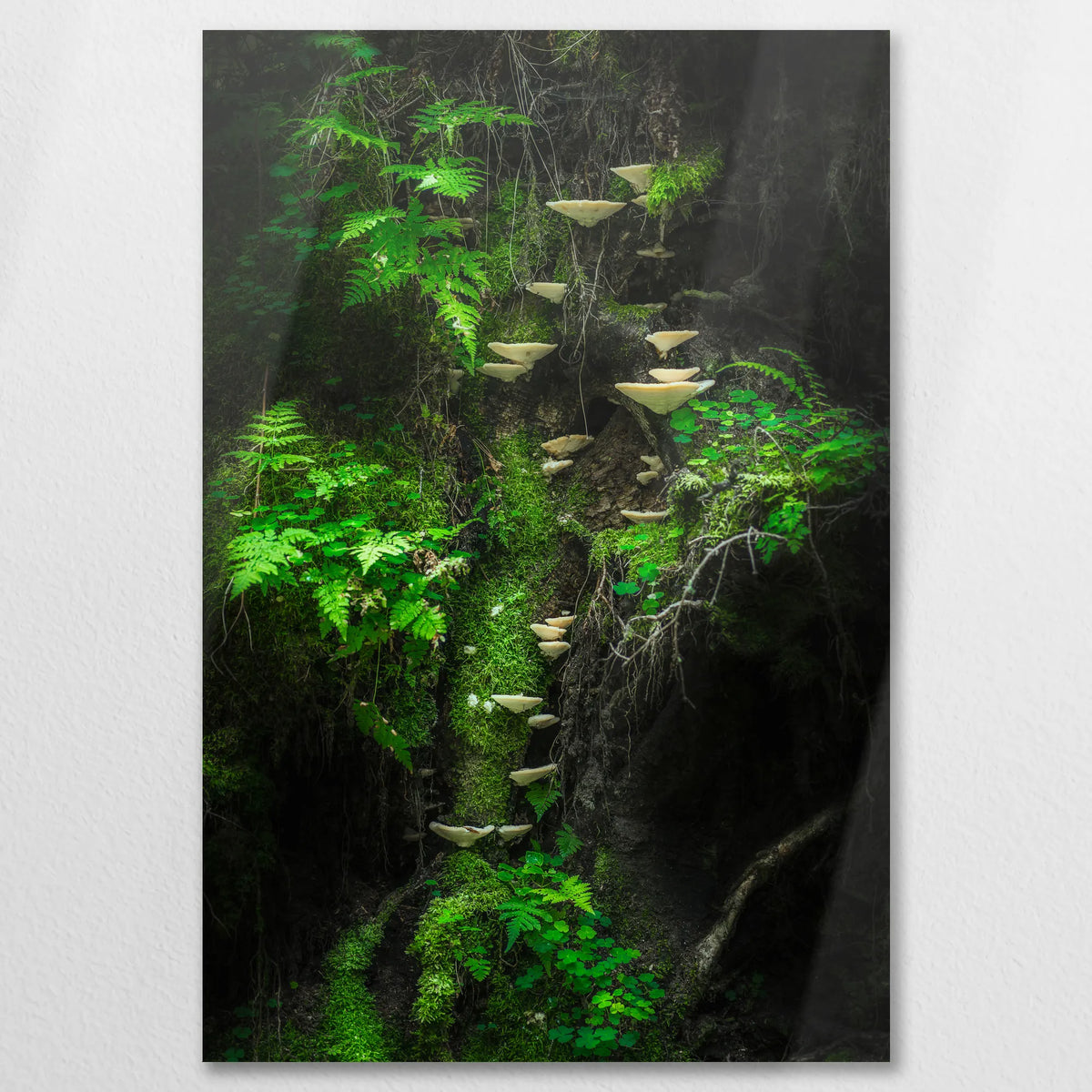 AL-080W120
