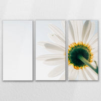 LW-150R100