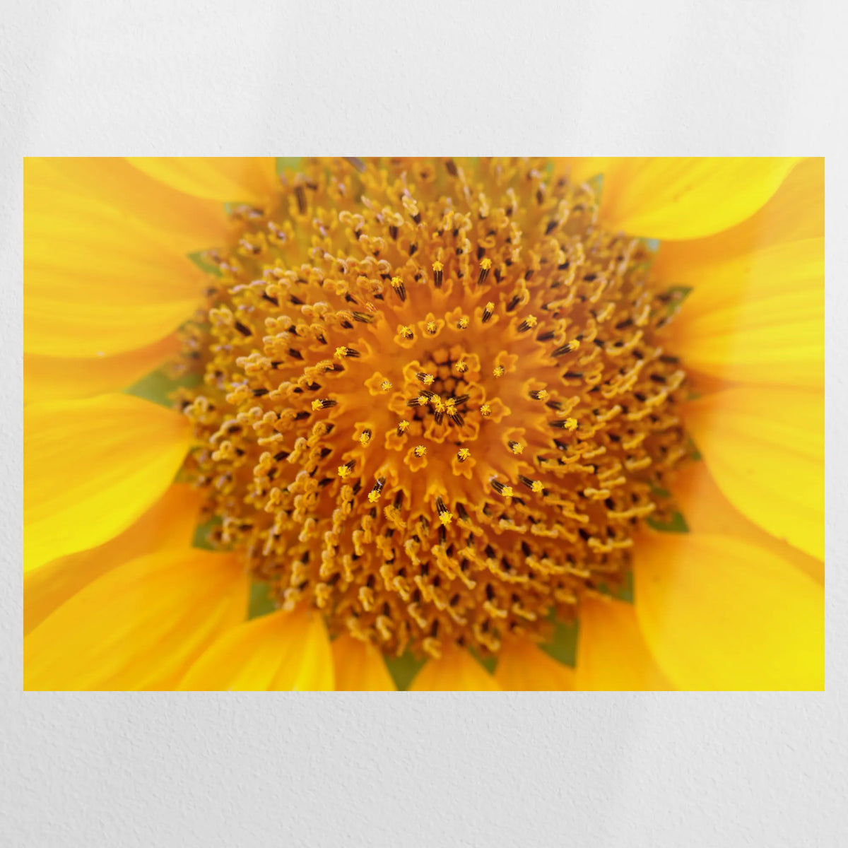 PO-090W060
