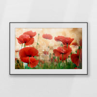 PBP120W080