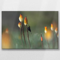LW-030W020