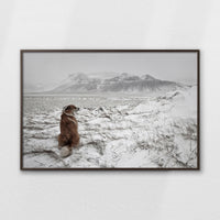 LWN120W080