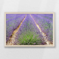 PN-060W040