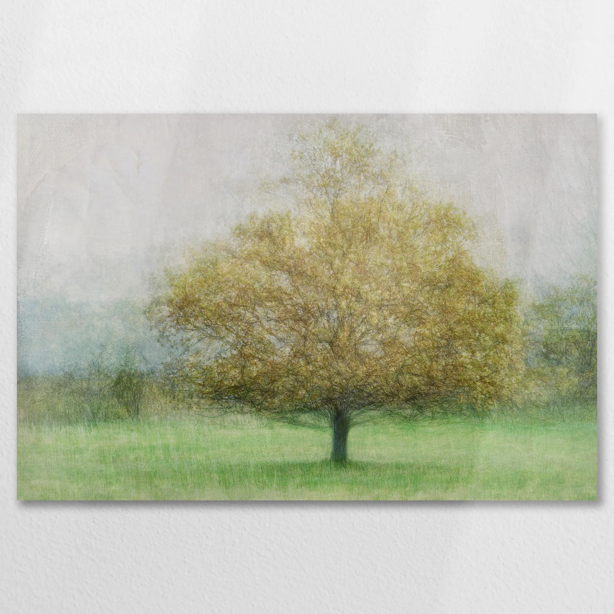 AL-075W050