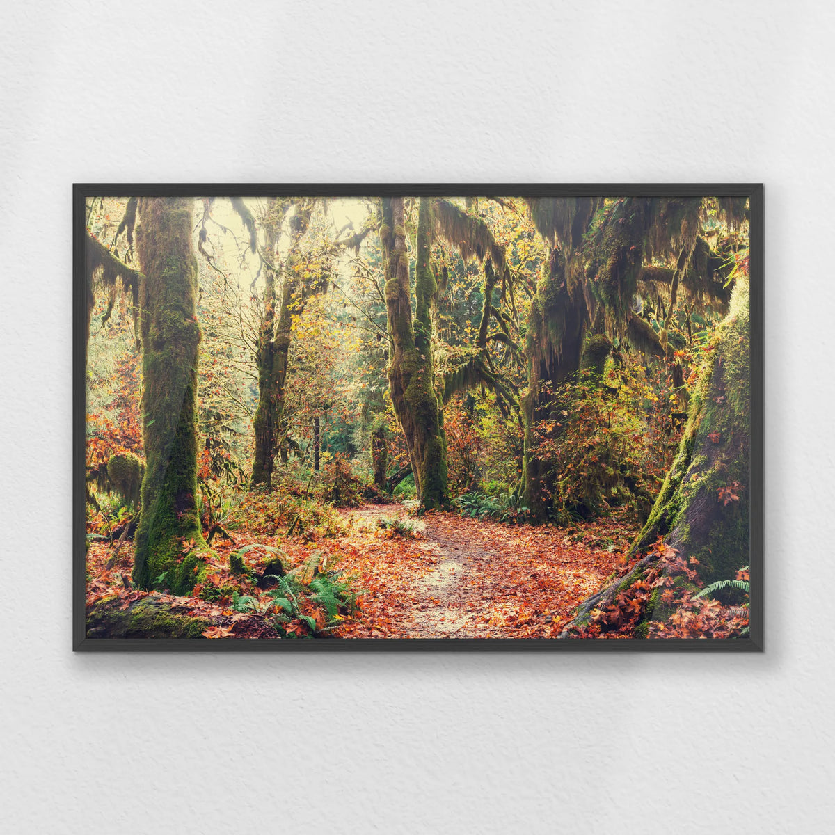 PK-093W062