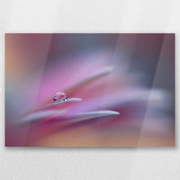 AL-045W030