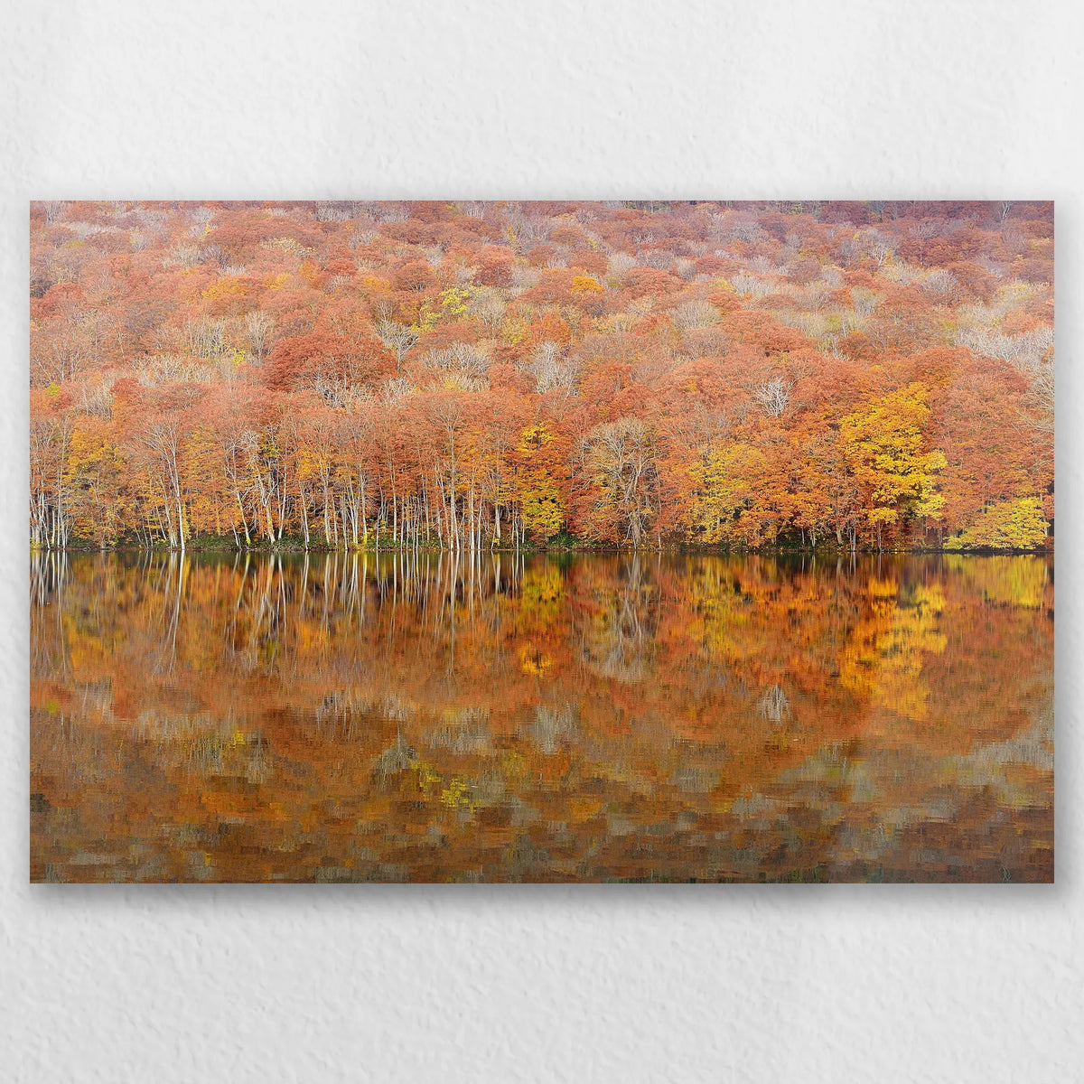 AL-045W030