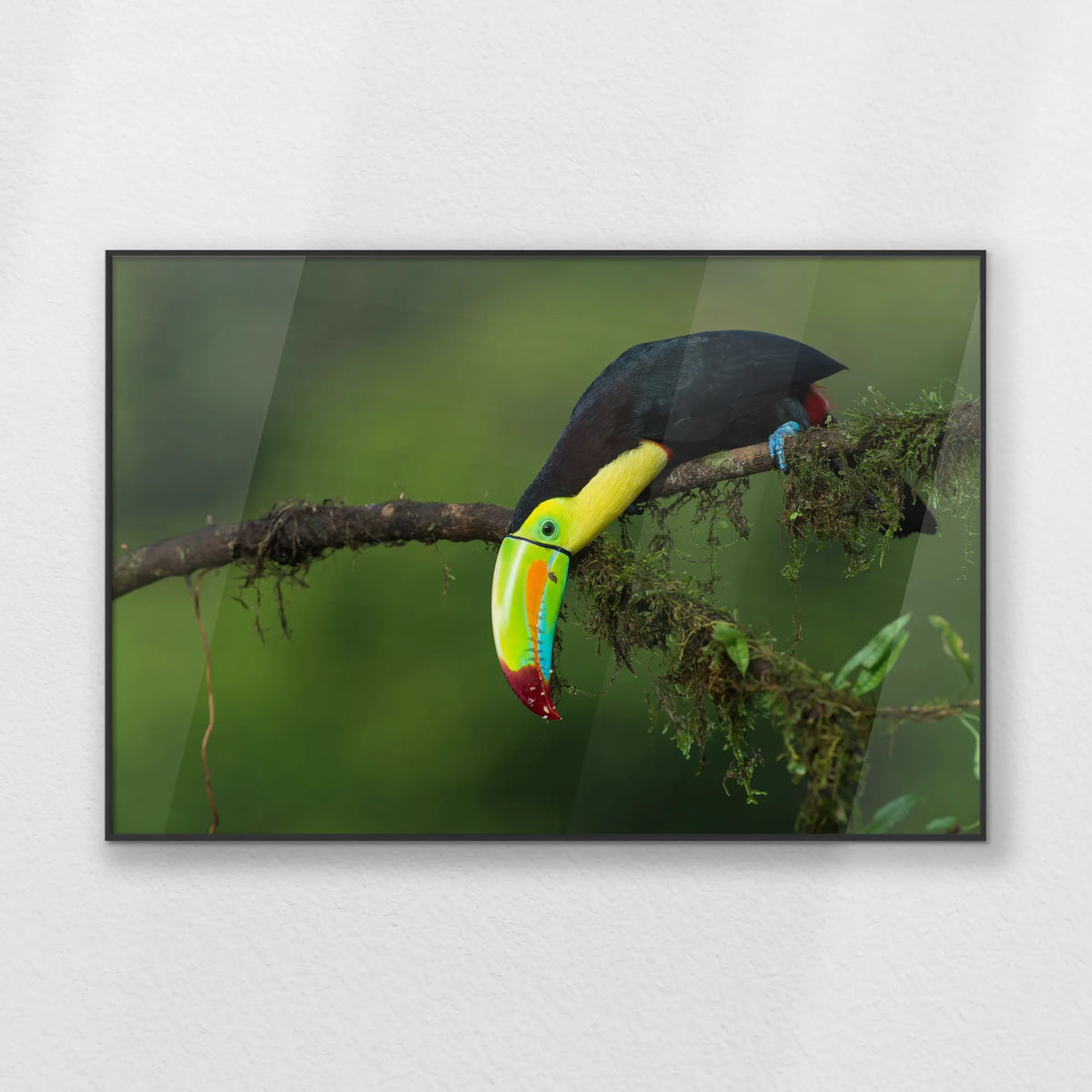 PB-100W070