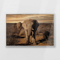 PS-093W062