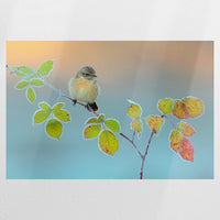 PO-120W080