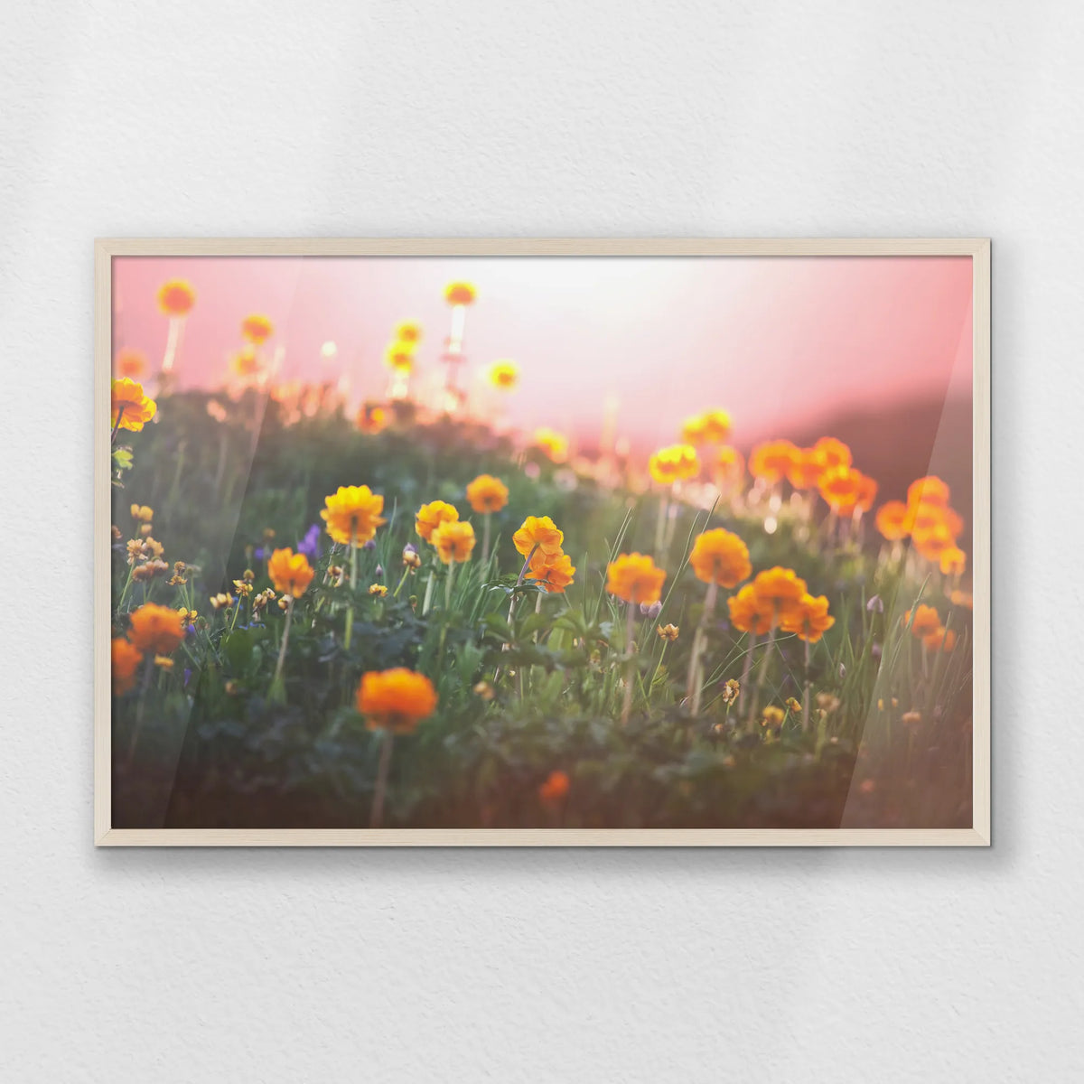 PN-093W062