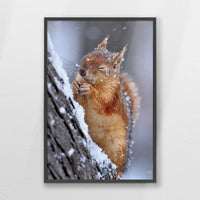 PK-062W093