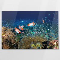 AL-090W060