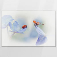 AC-120W080