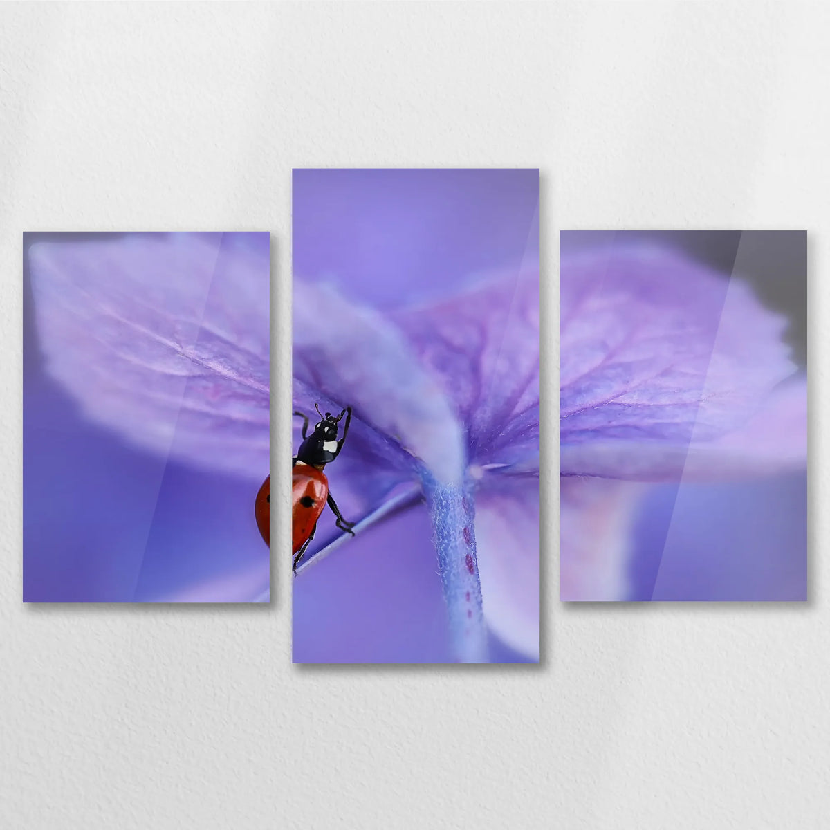 AC-090T060