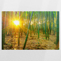 PO-045W030