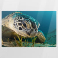 PO-120W080
