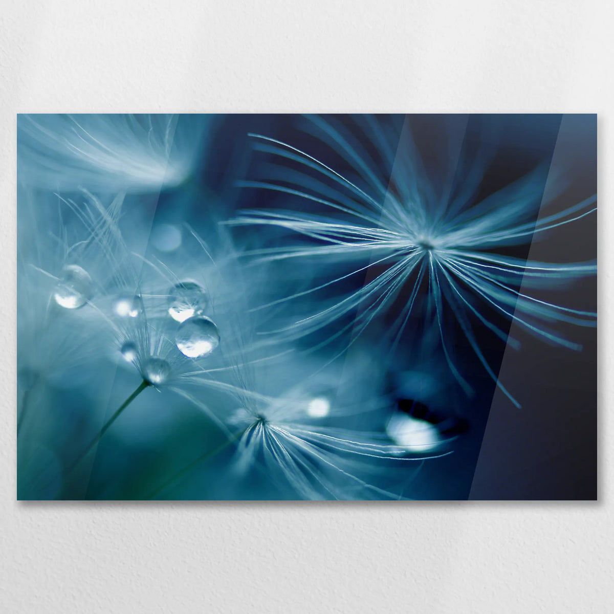 AC-075W050