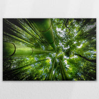 LW-120W080