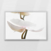 PW-093W062