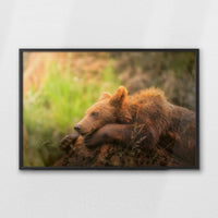 LWB100W070