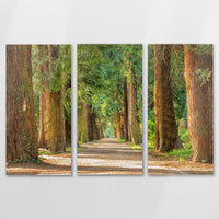 AC-150R100