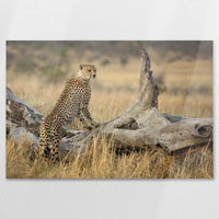 AC-120W080