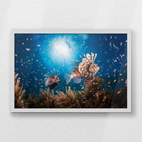 LWW060W040