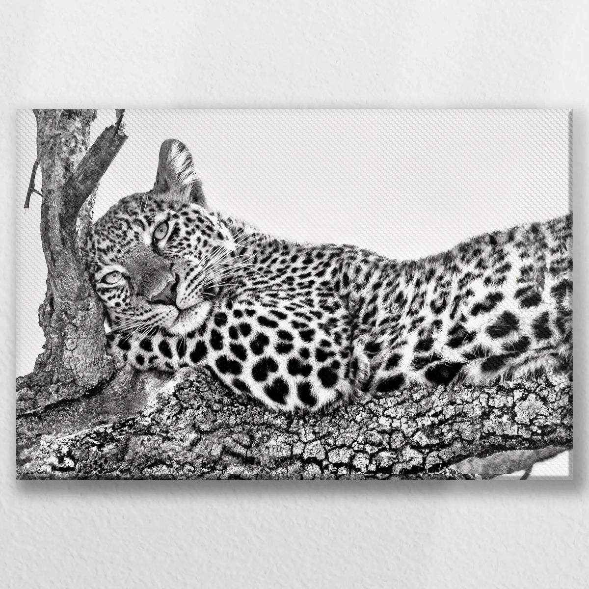 LW-030W020