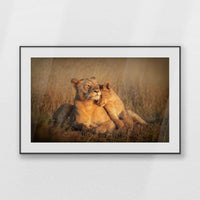 PBP120W080