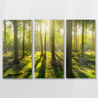 AL-090R060