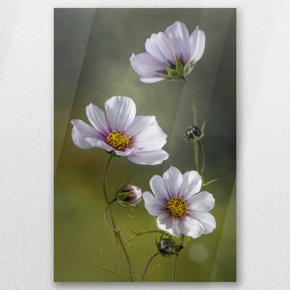 AC-050W075