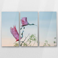 AC-060R040