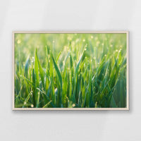 PN-093W062