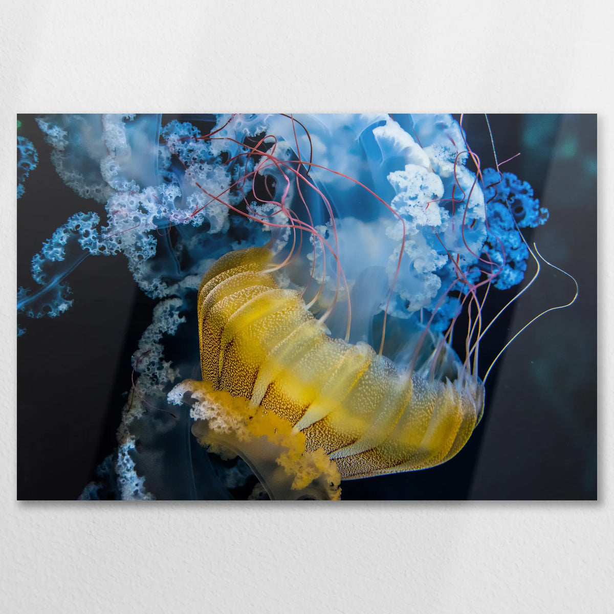 AL-090W060