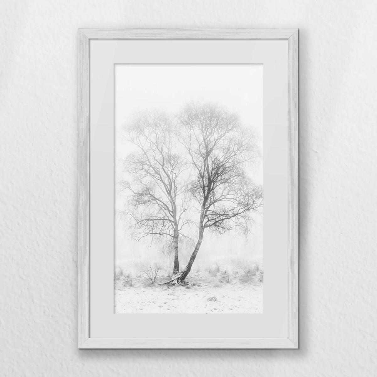 PWP040W060