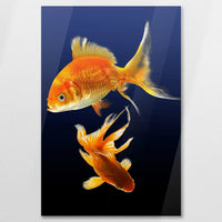 AC-080W120