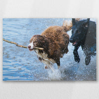 AL-030W020