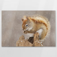 AL-075W050