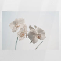 PO-090W060
