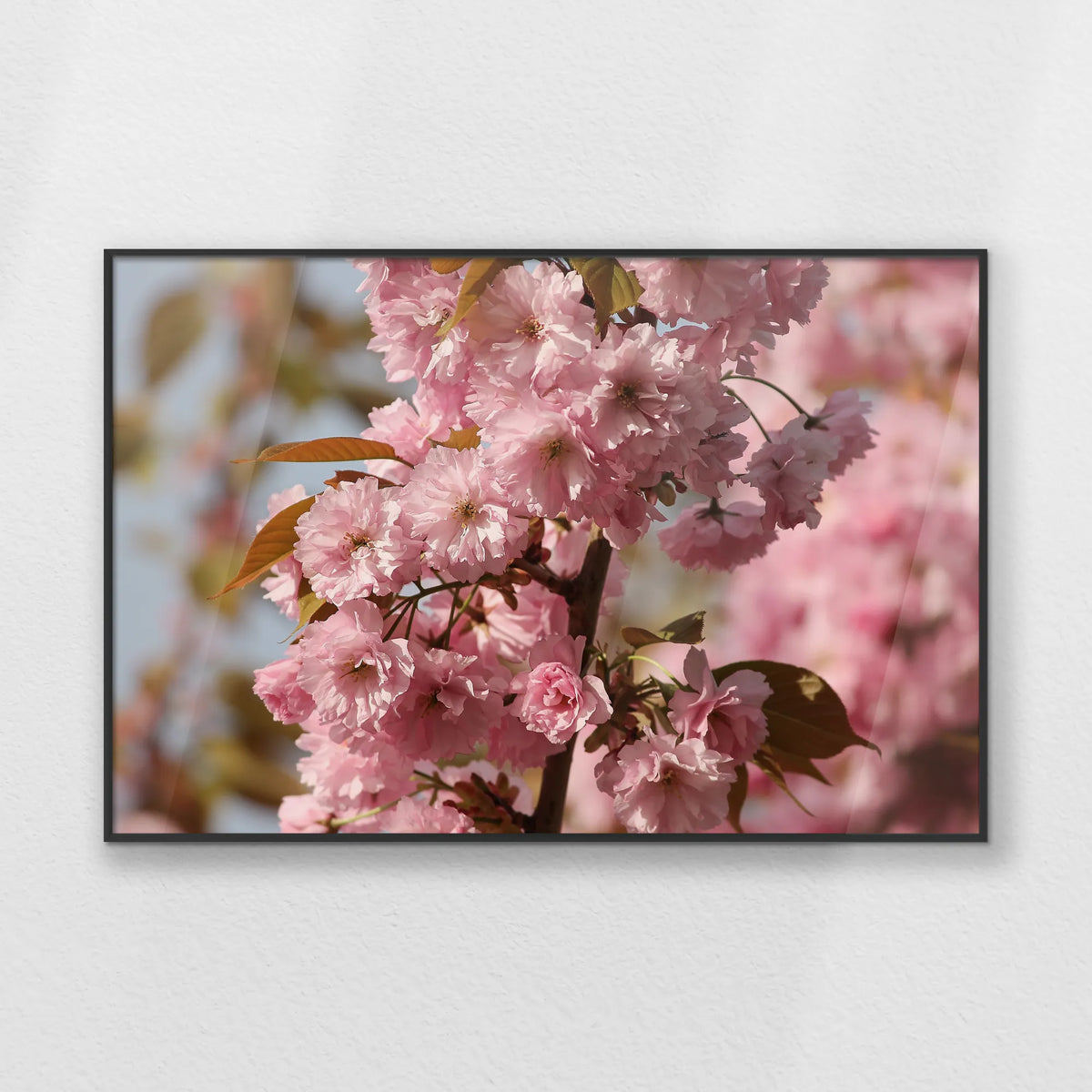 PB-093W062
