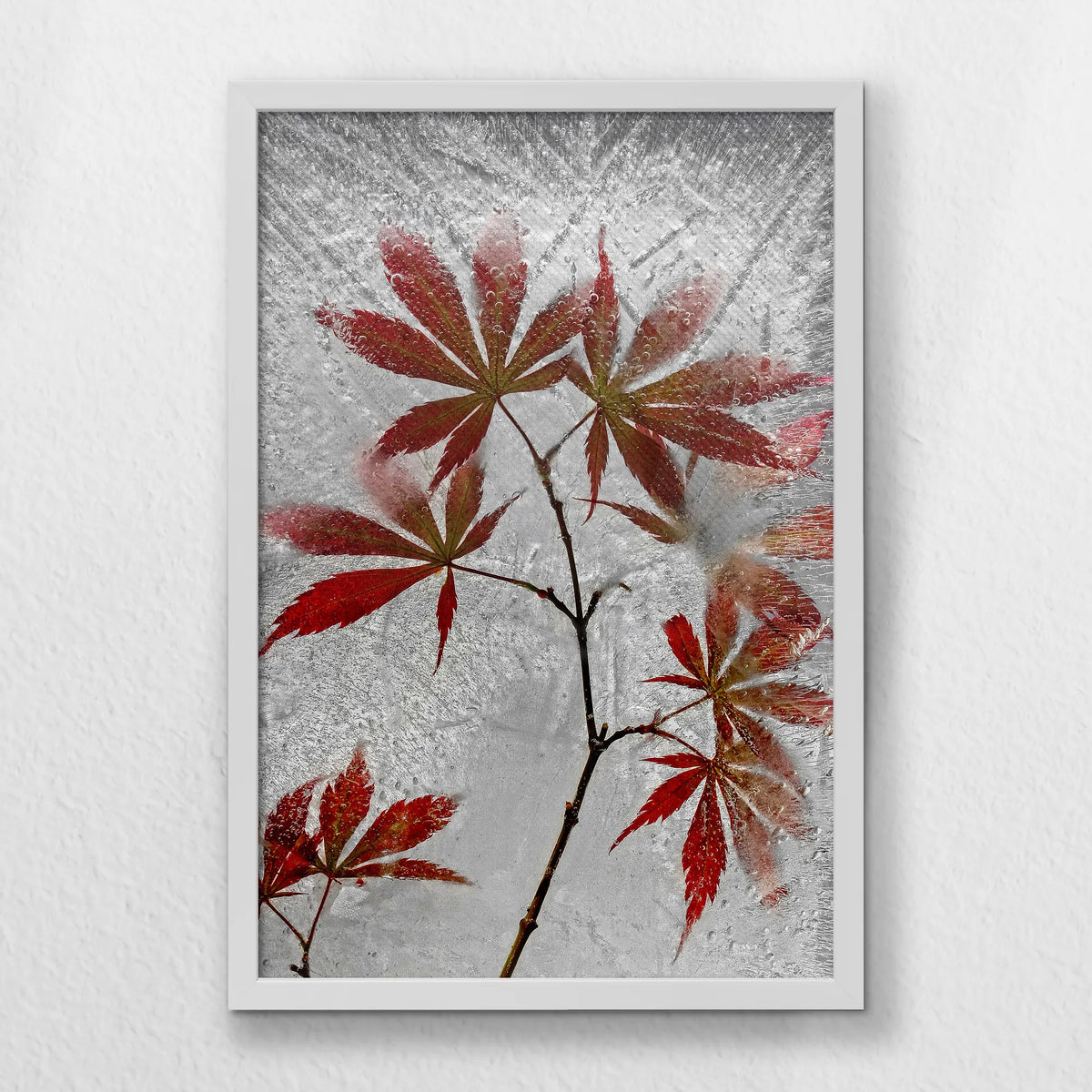 LWW040W060