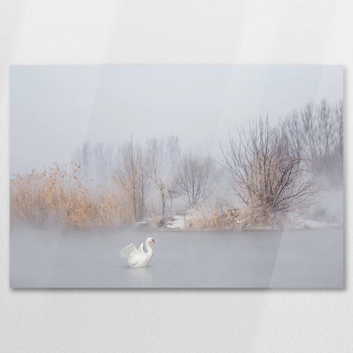 AC-075W050