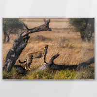 AL-045W030