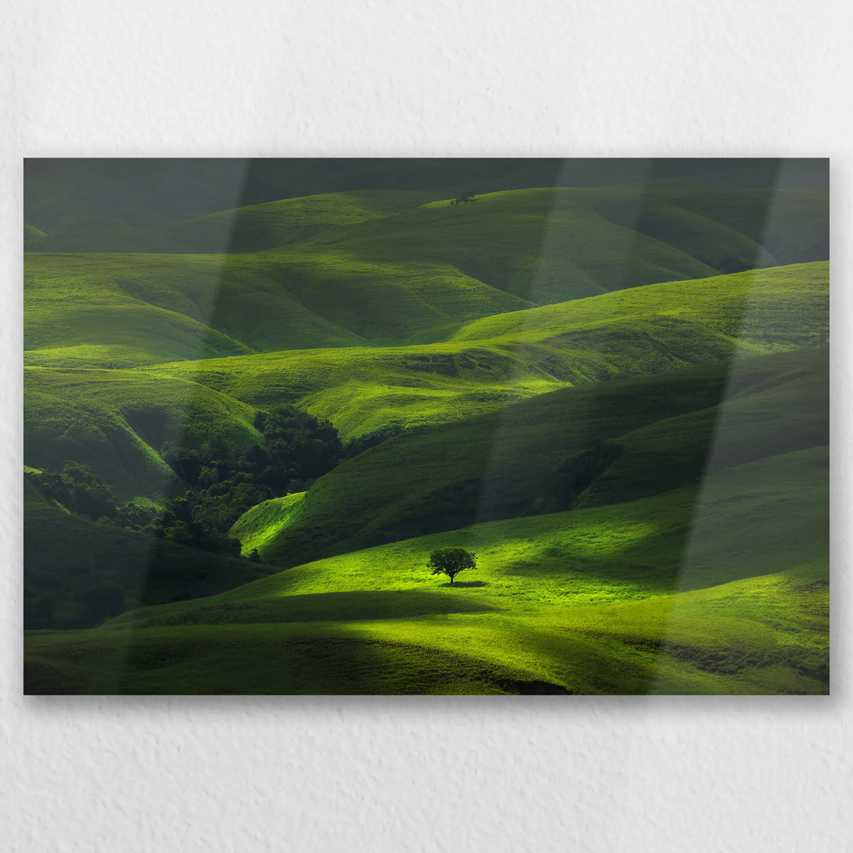 AL-030W020