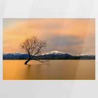 PO-120W080