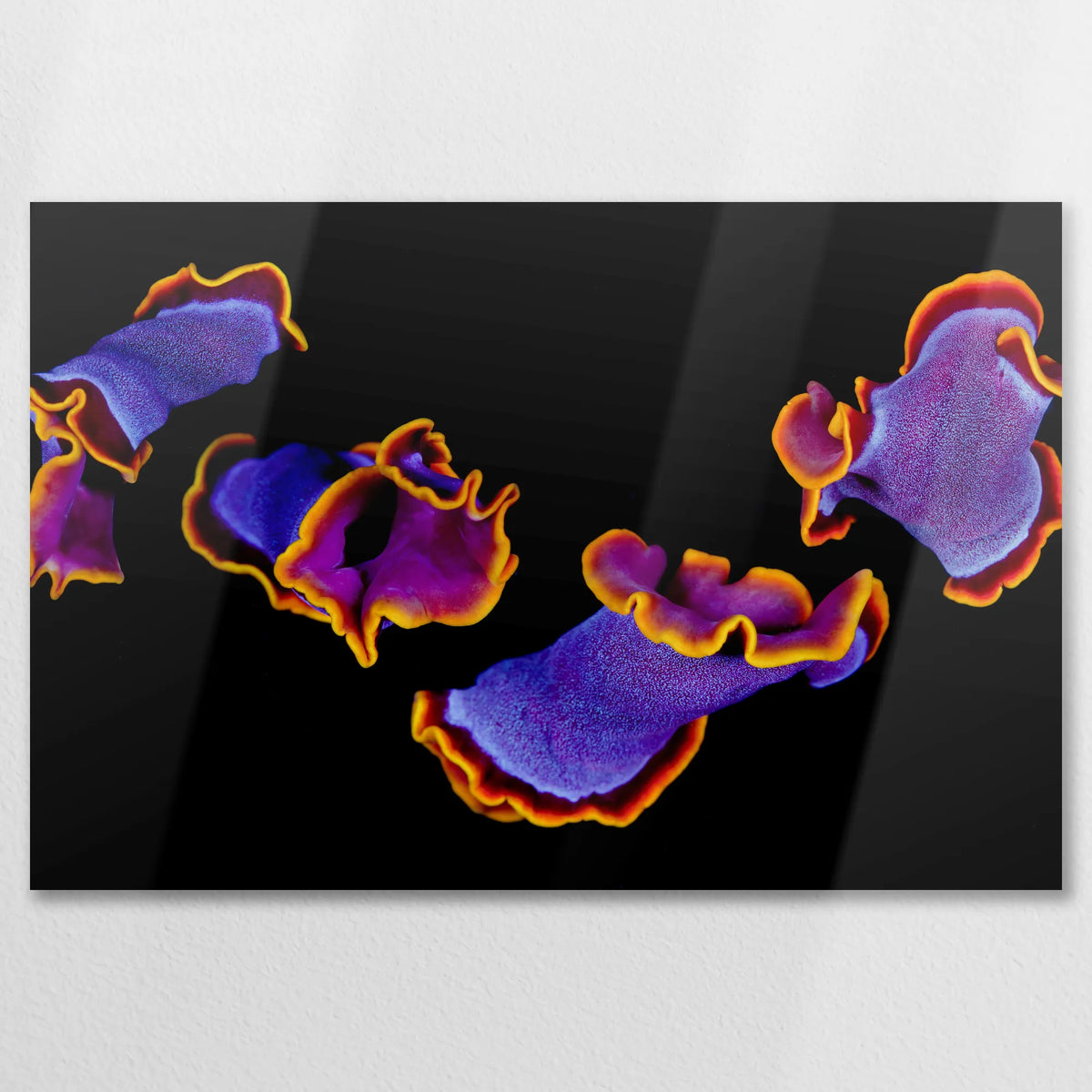 AL-090W060